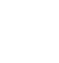 Maple Icon